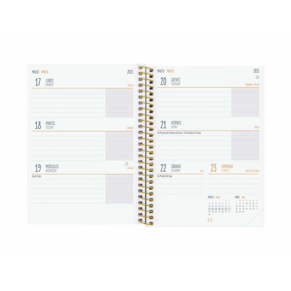 Agenda Finocam 8º SVH Multicouleur 1/8 12 x 16,4 cm 2024-2025