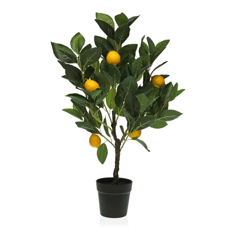 Decorative Plant Versa 15 x 65 x 15 cm Plastic