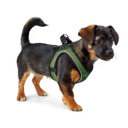 Harnais pour Chien Hunter Comfort Vert XS 35-37 cm