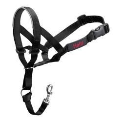 Collier d'entraînement pour chiens Company of Animals Halti Noir Muselière (46-62 cm)