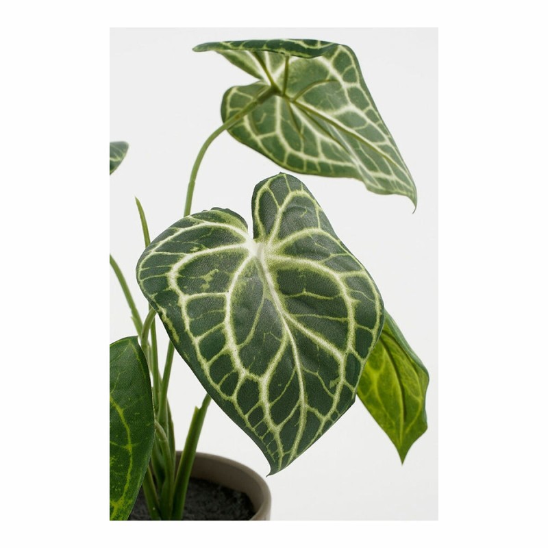 Decorative Plant Mica Decorations Caladium Ø 21 x 28 cm Artificial