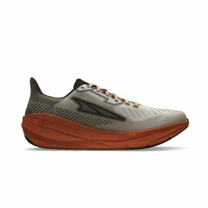 Chaussures de Running pour Adultes Altra Experience Flow Gris