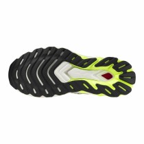 Chaussures de Running pour Adultes Mizuno Wave Skyrise 5 Vert citron