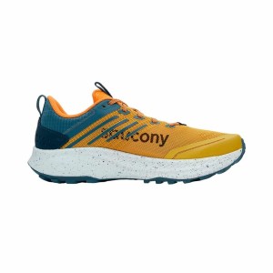 Running Shoes for Adults Saucony Ride Tr2/Oak/Mirage