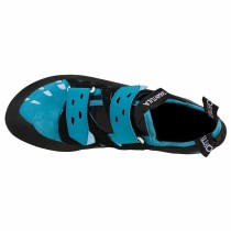 Chausson d´Éscalade La Sportiva Tarantula Bleu