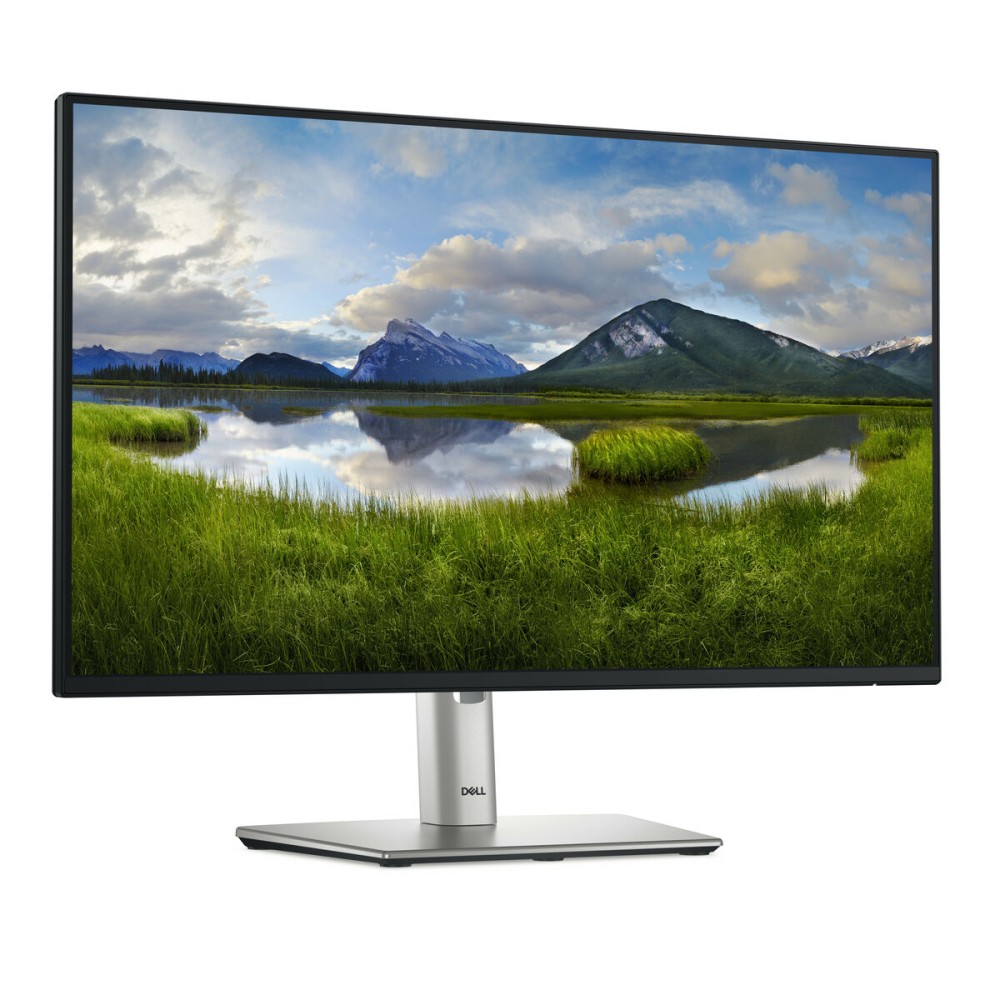 Écran Dell P2425H 23,8" Full HD 100 Hz