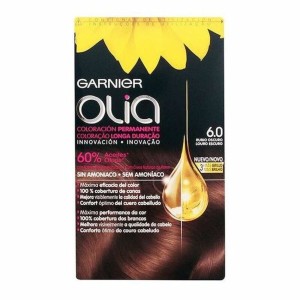 Amoniakfreie Färbung Olia Garnier 3600541234871