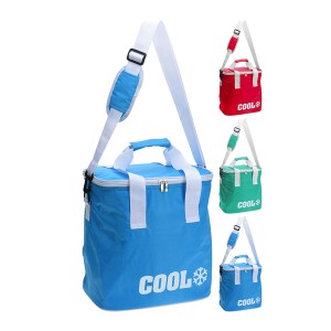 Kühltasche Cool 24 L 38 x 21 x 37 cm