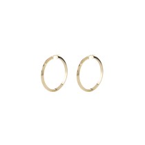 Ladies' Earrings Guess JUBE04193JWYGT-U