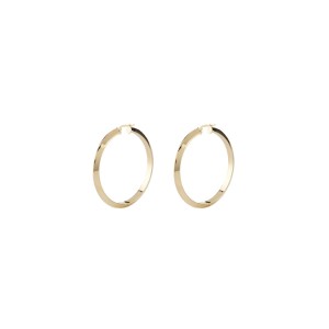 Ladies' Earrings Guess JUBE04193JWYGT-U