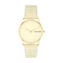 Herrenuhr Calvin Klein 25100035