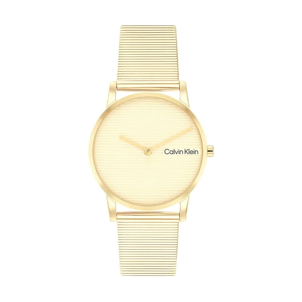 Herrenuhr Calvin Klein 25100035