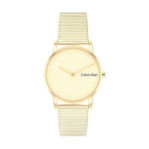 Herrenuhr Calvin Klein 25100035