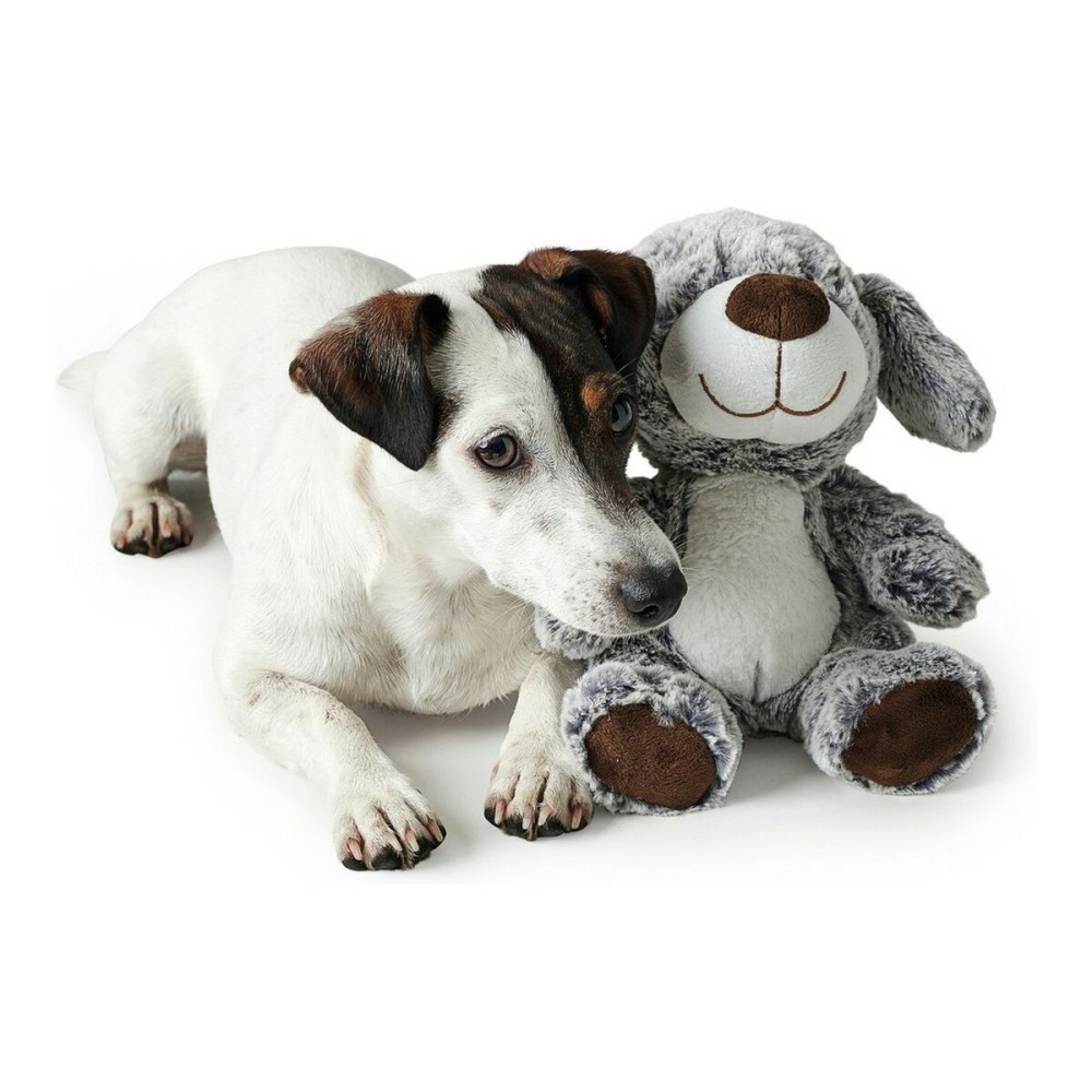 Dog toy Hunter Faro Grey Dog