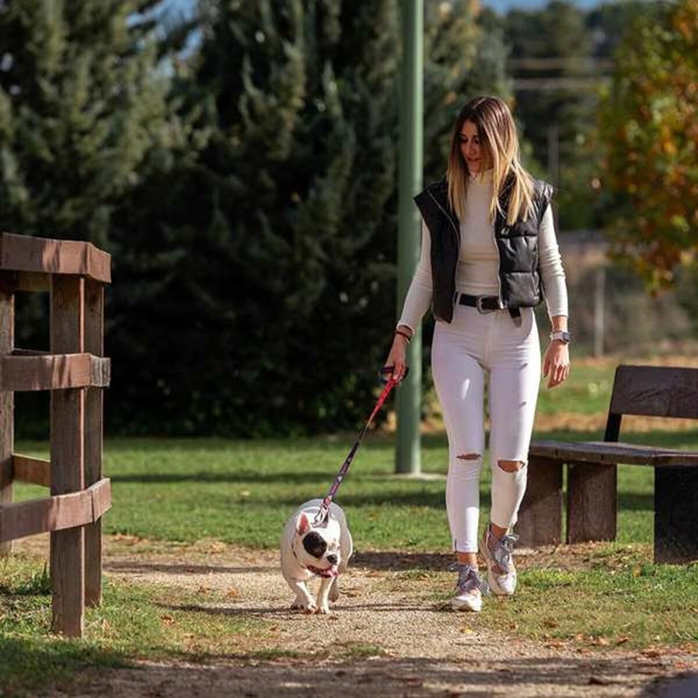 Laisse pour Chien DC Pets