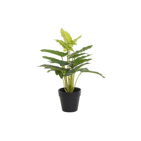 Decorative Plant DKD Home Decor PVC polypropylene 25 x 25 x 30 cm