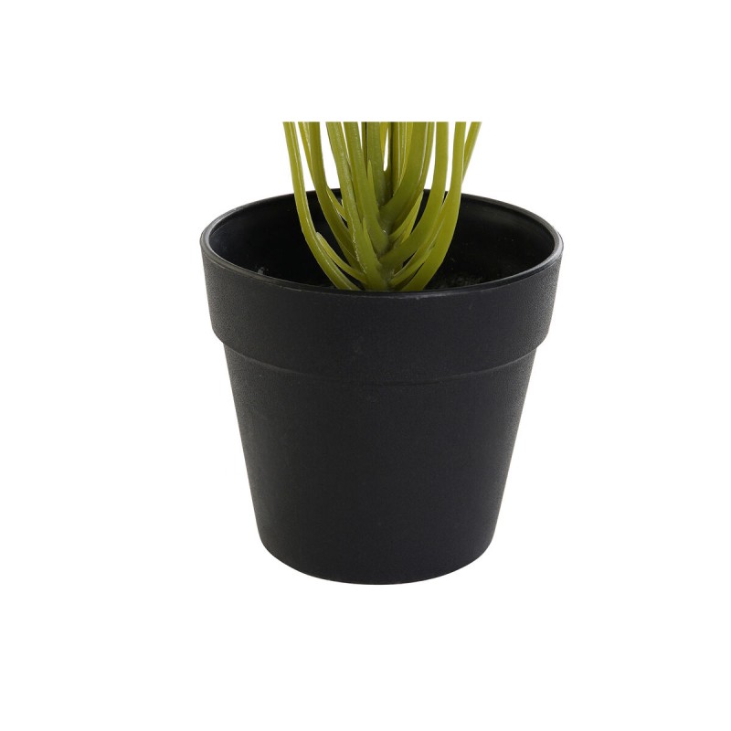 Decorative Plant DKD Home Decor PVC polypropylene 25 x 25 x 30 cm