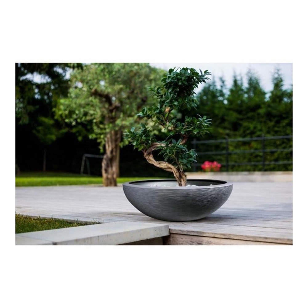 Pot EDA Graphit Washbasin Gris Gris foncé (Ø 59 x 21 cm)