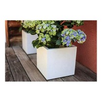 Plant pot EDA White Plastic 5 cm