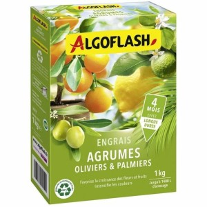 Plant fertiliser Algoflash Naturasol Olive tree Palm tree Citrus 1 kg