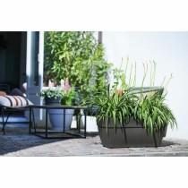 Pot Elho Anthracite Plastique Rectangulaire Moderne