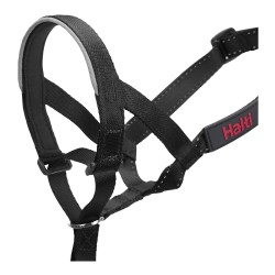 Collier d'entraînement pour chiens Company of Animals Halti Noir Muselière (31-40 cm)