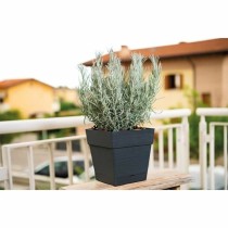 Pot Deroma Gris foncé Ø 35 cm