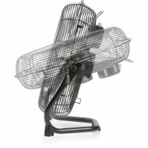 Freestanding Fan DOMO DO8134 Black 65 W