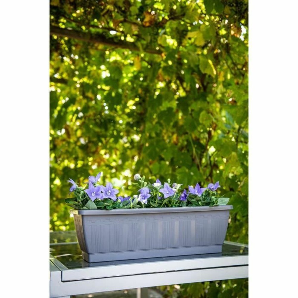 Self-watering planter Garden ID Anthracite 60 cm