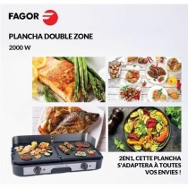 Grill Fagor FG823