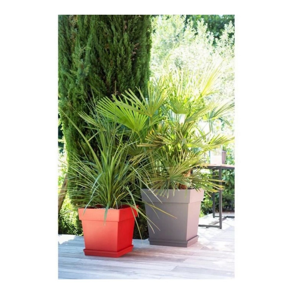 Pot EDA Tuscan Taupe Plastique Carré Ø 50 cm (49,5 x 49,5 x 52,5 cm)