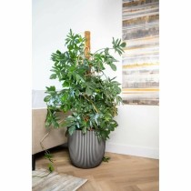 Blumentopf Capi Europe Kunststoff Ø 43 cm