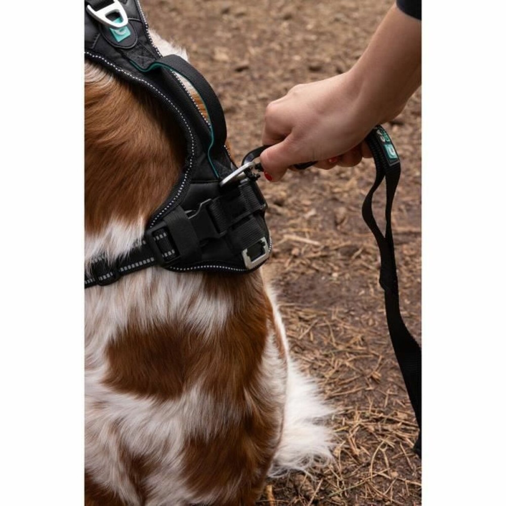 Dog Harness SYMBIOZ Black L