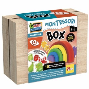 Educational Game Lisciani Giochi Montessori