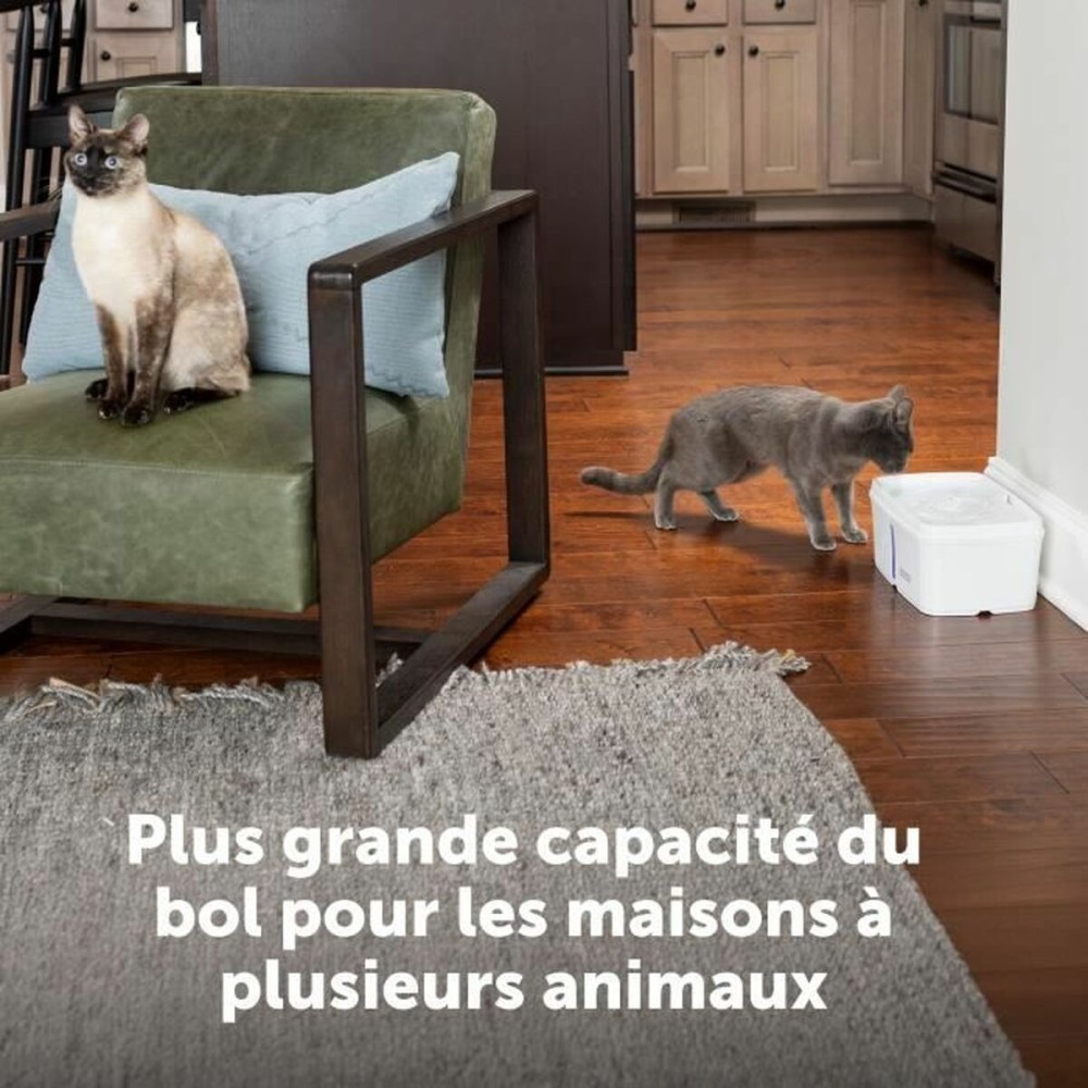 Fontaine pour Animaux de Compagnie PetSafe Blanc