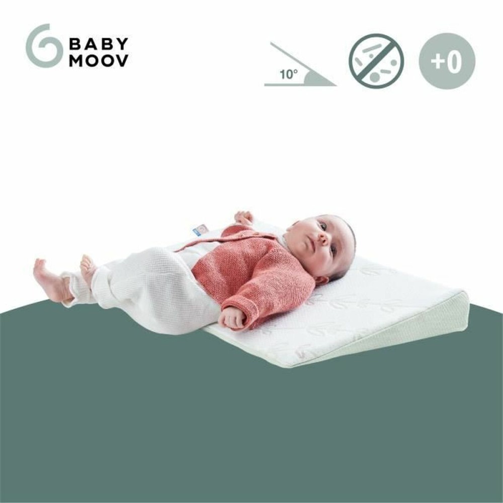 Coussin Babymoov A050014 60 x 120 cm