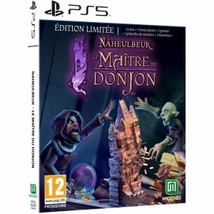 Jeu vidéo PlayStation 5 Microids Naheulbeuk : Le Maitre Du Donjon