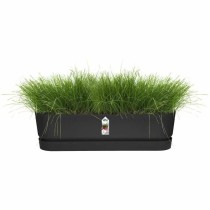 Planter Elho   Black 70 cm Plastic