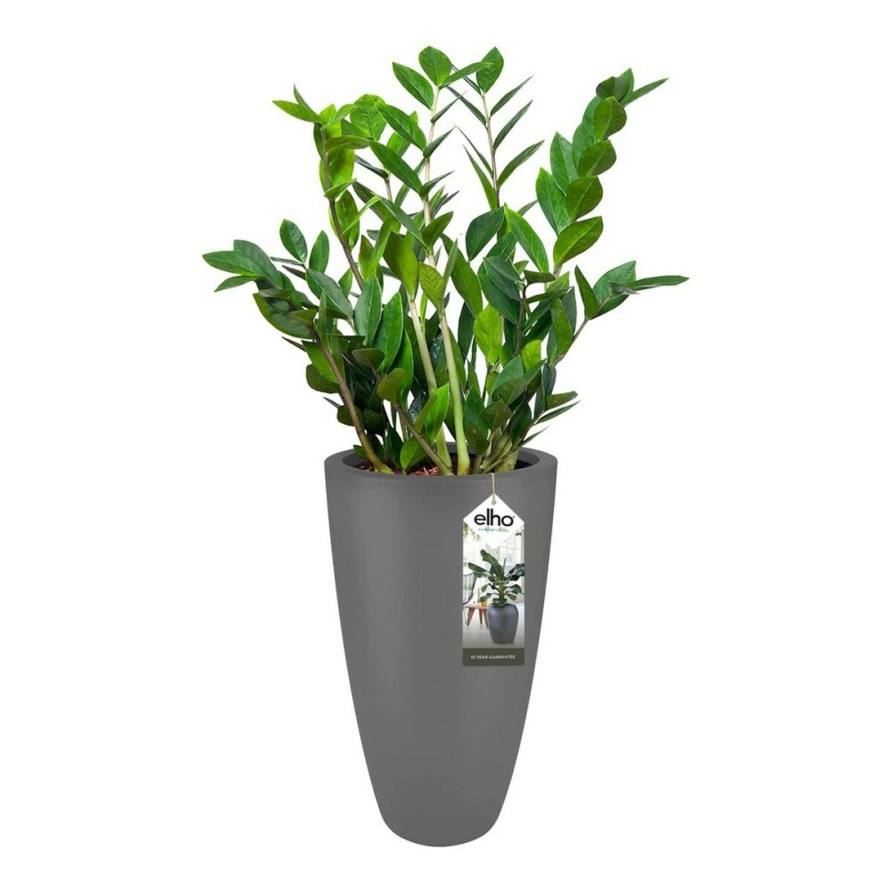 Plant pot Elho 8885373042500 Anthracite Plastic Circular