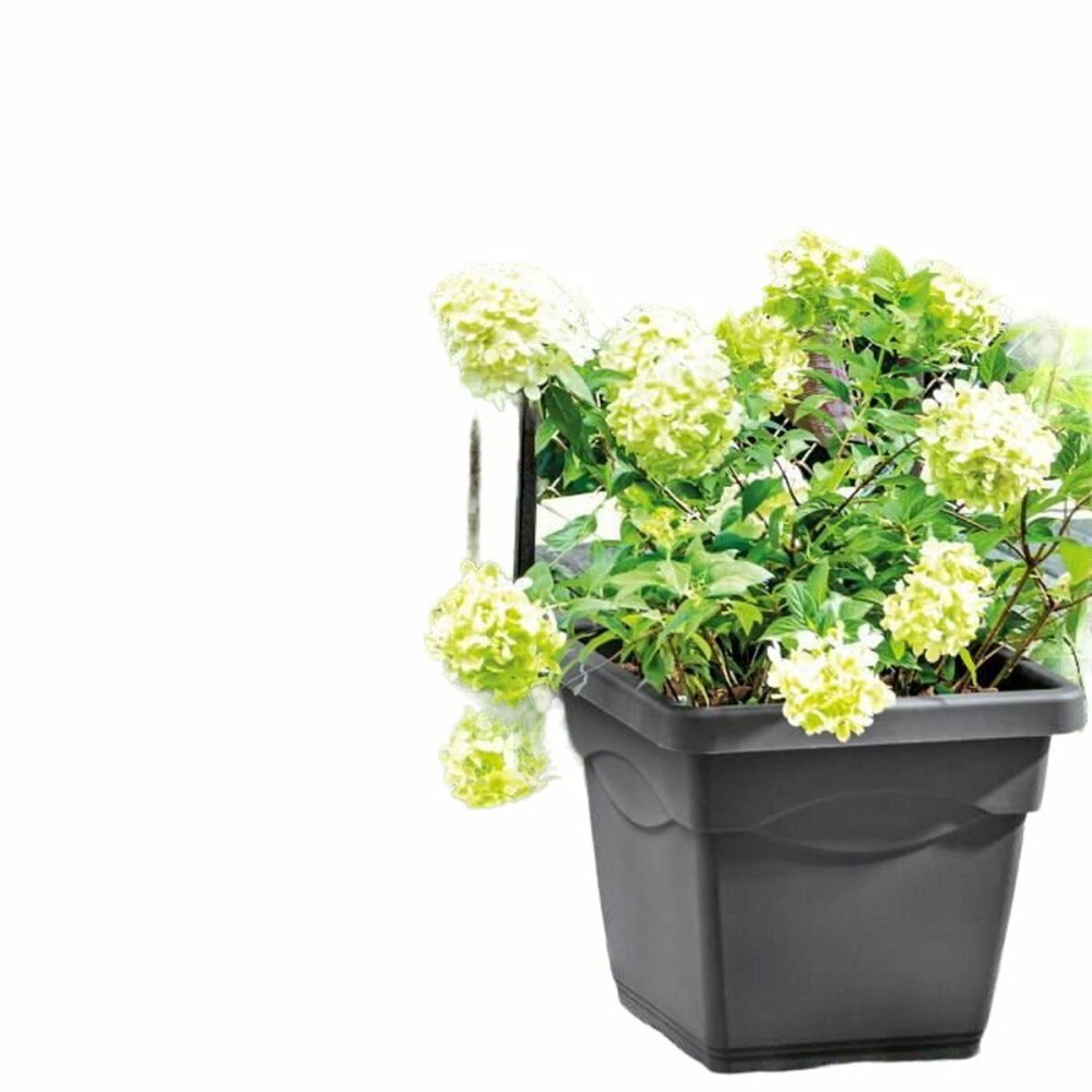 Blumentopf Deroma karriert Anthrazit Injected Ø 38 cm