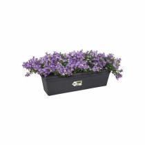 Plant pot Elho Black 16,5 x 58,5 x 13,7 cm