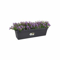 Plant pot Elho Black 16,5 x 58,5 x 13,7 cm