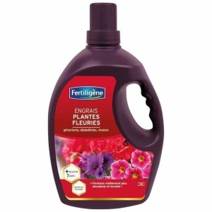 Plant fertiliser Fertiligène Geranium Flowers 3 L