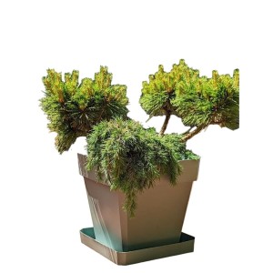 Plant pot Riviera Brown 50 x 50 cm