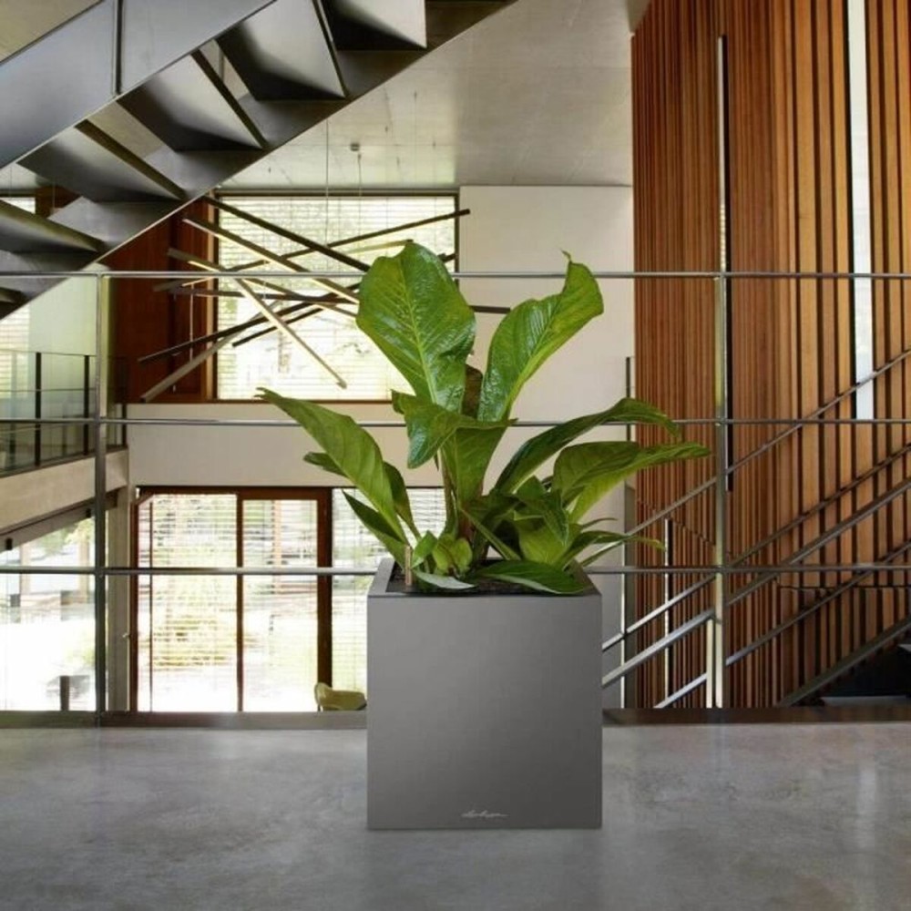 Self-watering flowerpot Lechuza Anthracite 40 x 40 x 76 cm