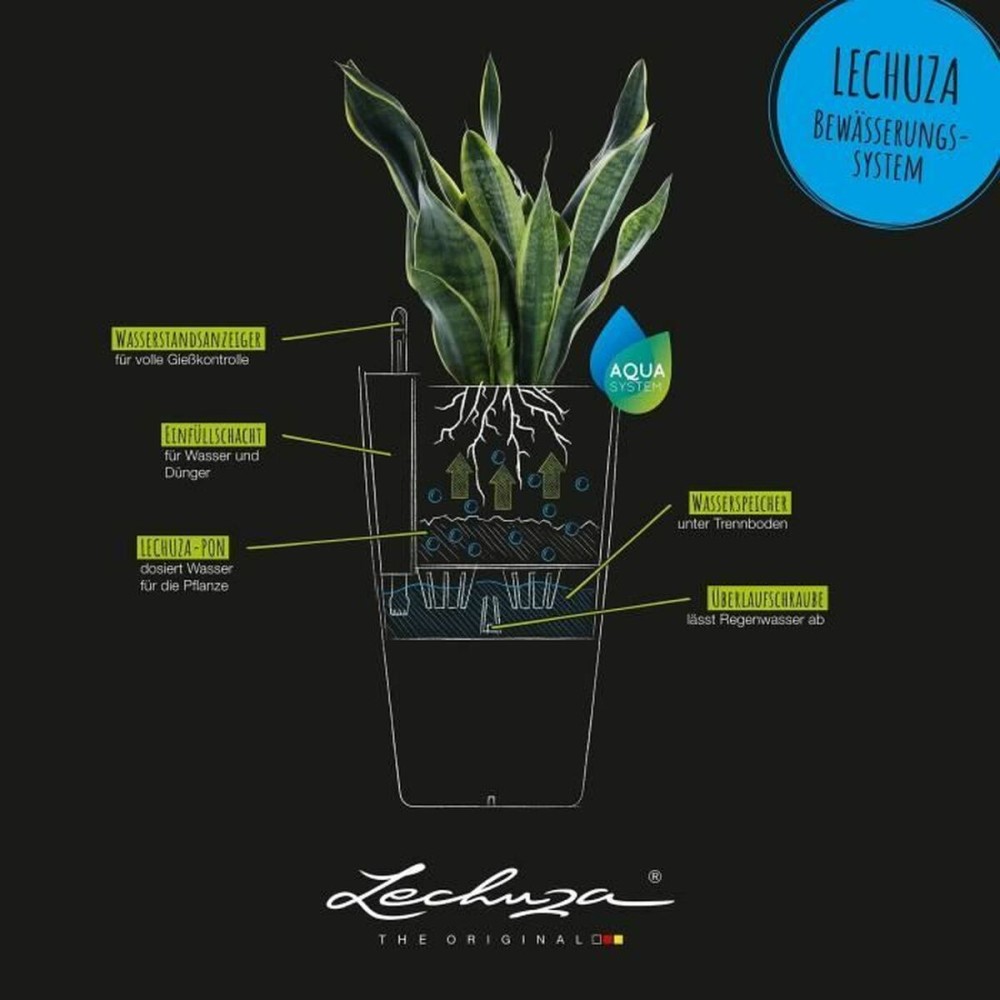 Plant pot Lechuza 40 x 40 x 75 cm Black Board polypropylene Plastic