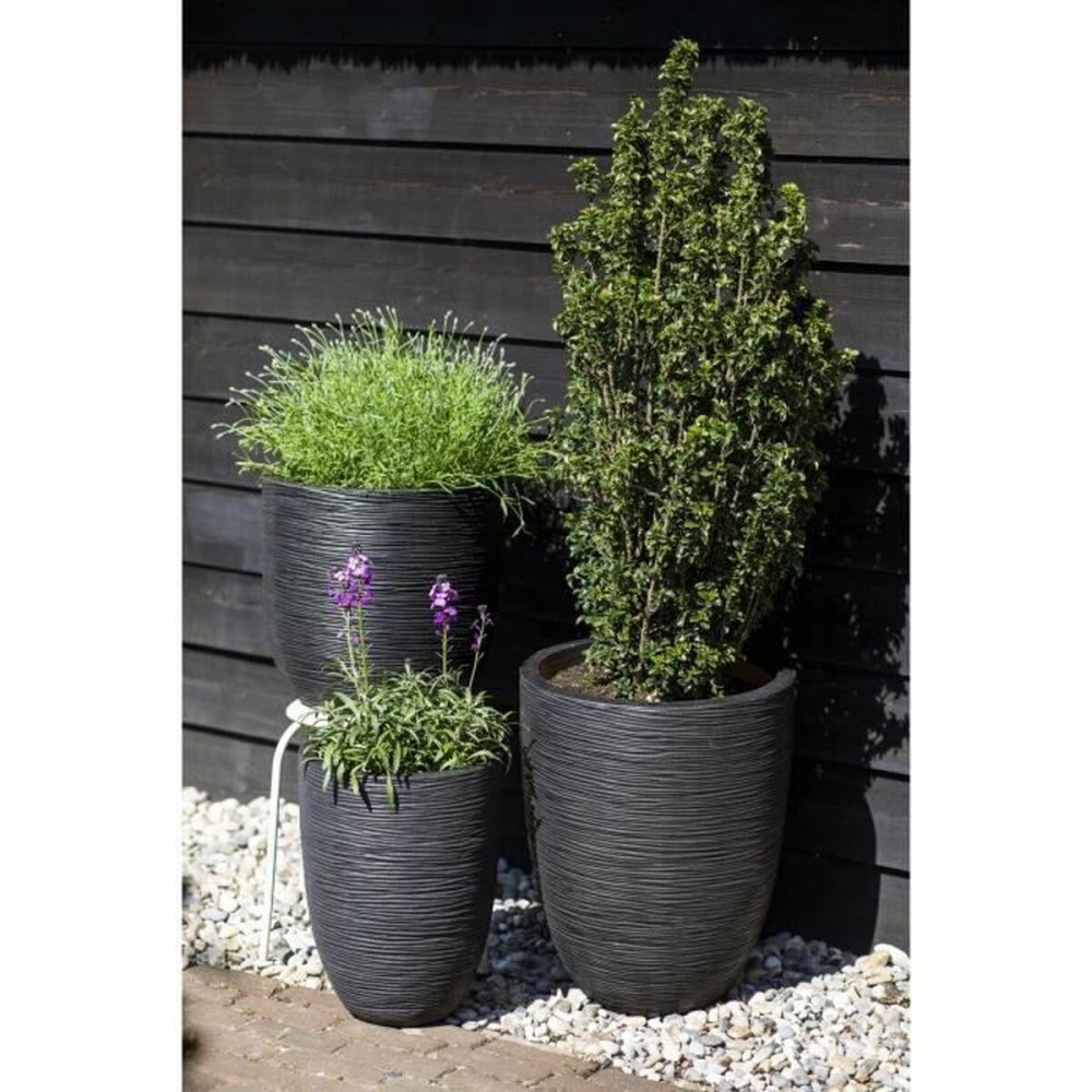 Planter Capi Europe Black Plastic Circular