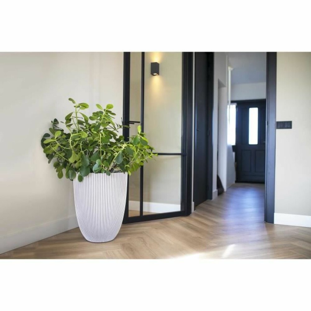 Planter Capi Europe Plastic Circular