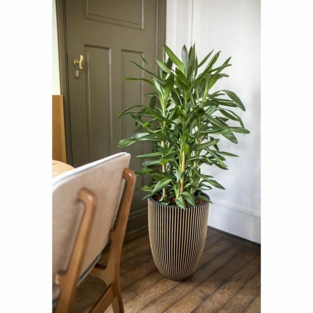 Planter Capi Europe Golden Plastic