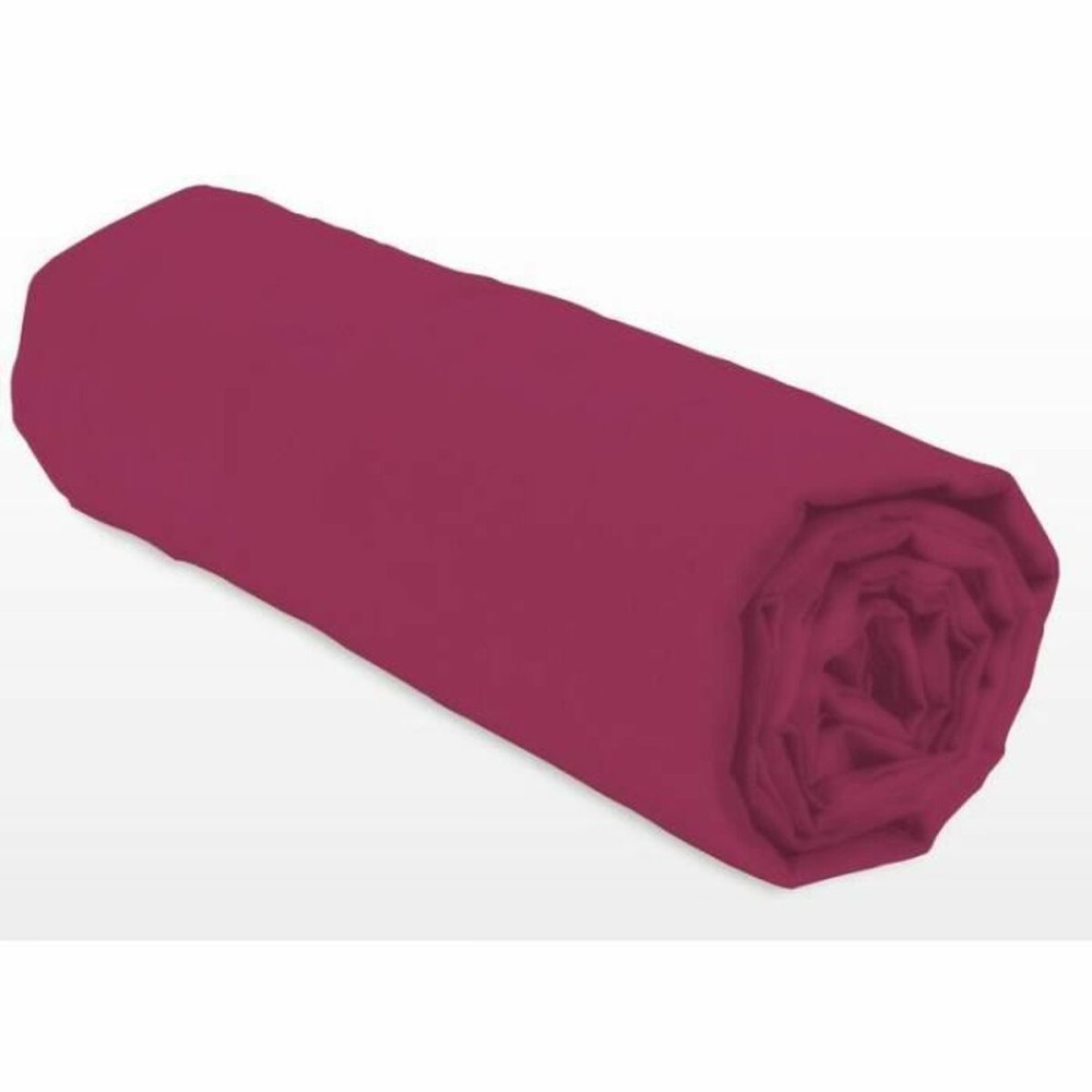 Fitted bottom sheet Lovely Home LH71615 Fuchsia Rose 160 x 200 + 25 cm